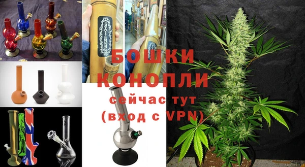 сатива Лагань