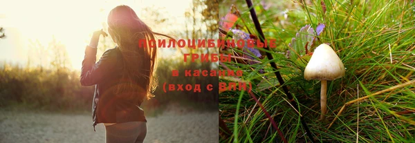 стаф Лабытнанги
