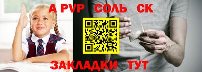 амф Кингисепп
