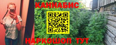 амф Кингисепп