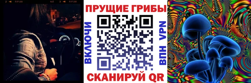 Псилоцибиновые грибы Magic Shrooms  купить закладку  Чебаркуль 
